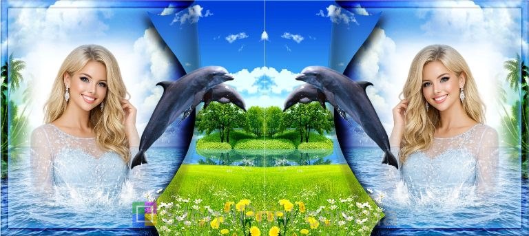 Кружка с фото перелистывающаяся страница дельфины море заказать