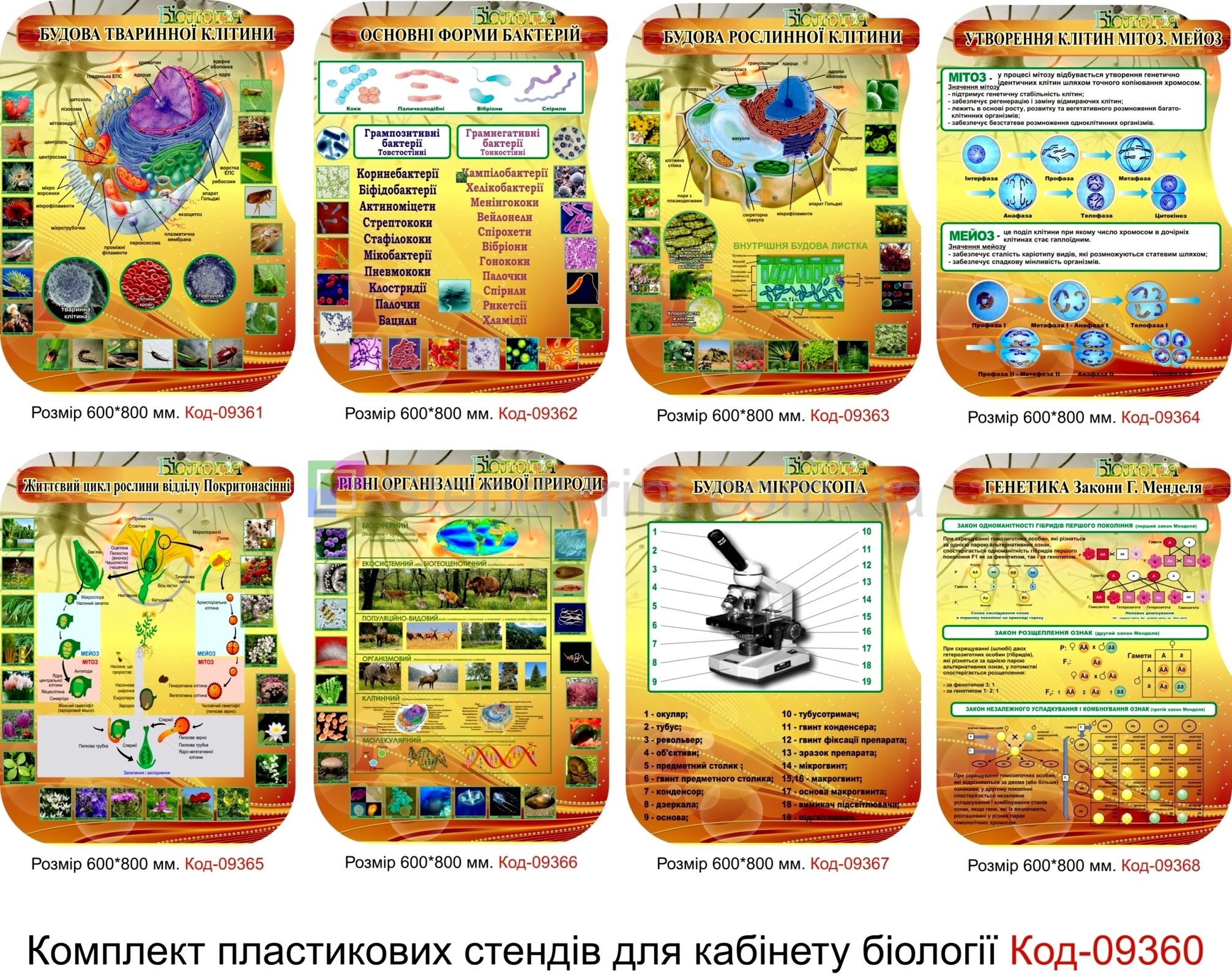Набір таблиць для кабінету біології оформлення стендами