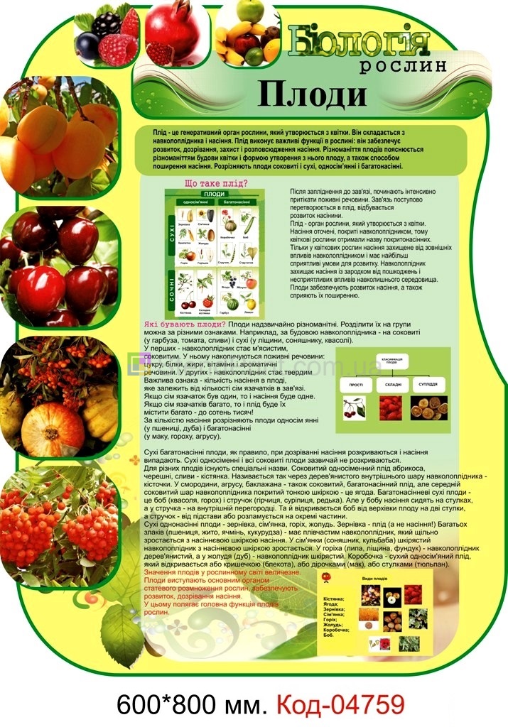 Плакаты по биологии растений