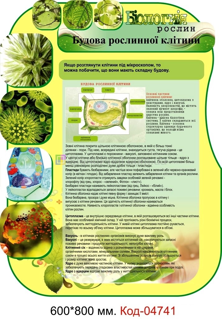 Набор стендов по биологии растений