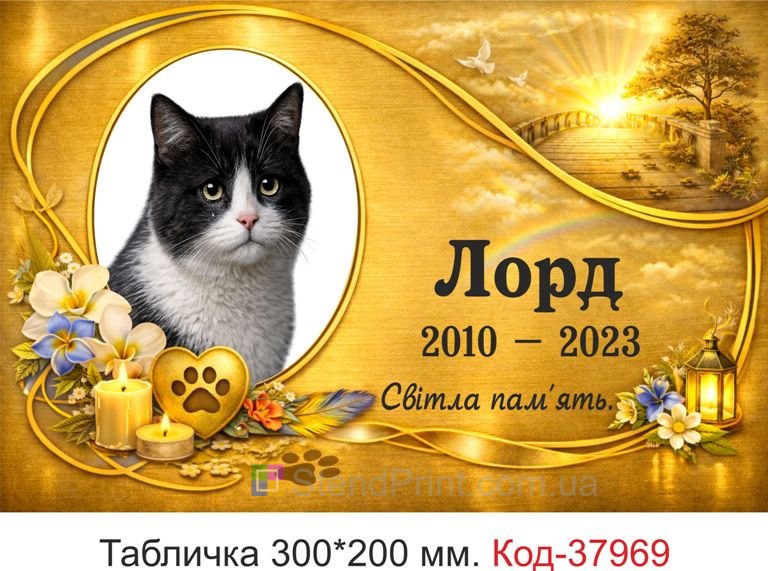 Купить ритуальную табличку для кота на могилу с фото и золотым дизайном
