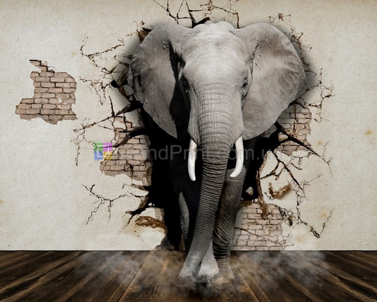 Картина на акриловом стекле Слон