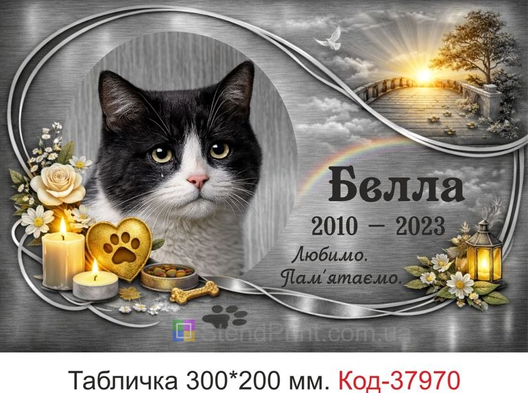 Купить ритуальную табличку для кота на могилу с фото и серебряным дизайном