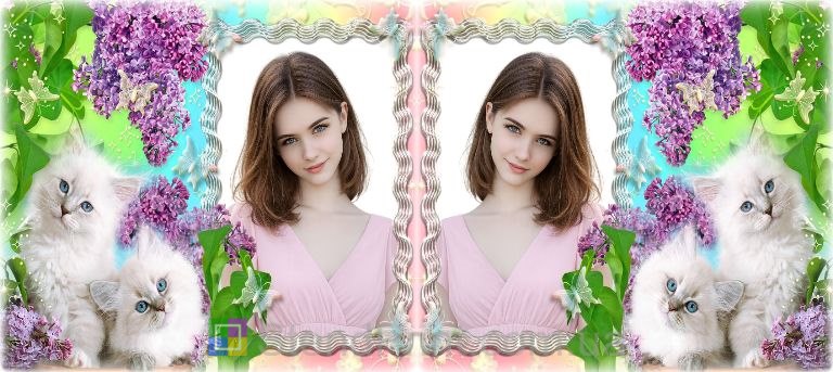 Чашка с фото белые котята сирень нежный дизайн заказать