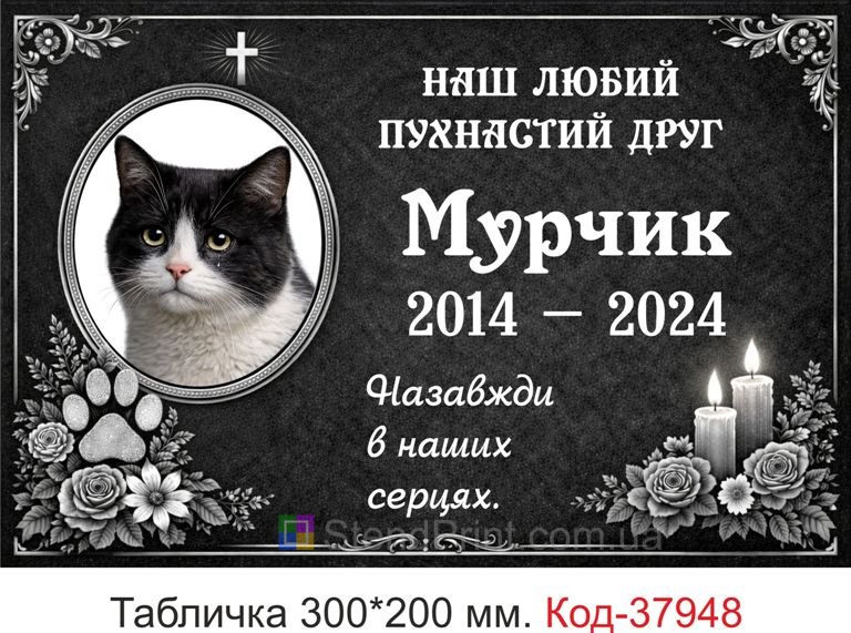 Ритуальна табличка на могилу кота з фоторамкою купити