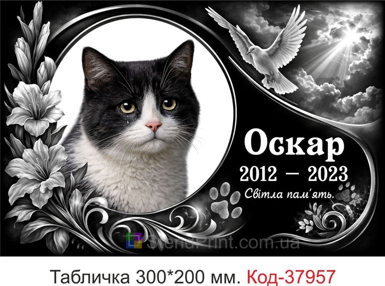 Замовити ритуальну табличку для кота на могилу з фото і голубом