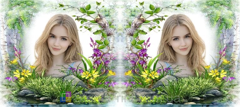 Чашка з фото квітковий колаж і березовий гай природа замовити