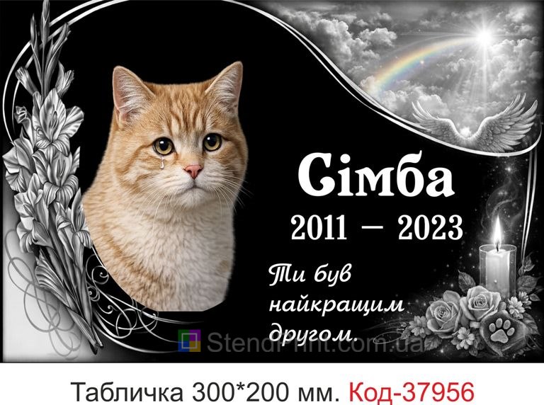 Купити ритуальну табличку для кота на могилу з фото і срібним дизайном
