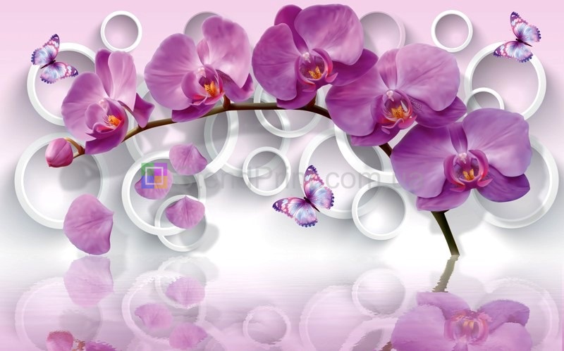 Картина на акриловом стекле Орхидеи