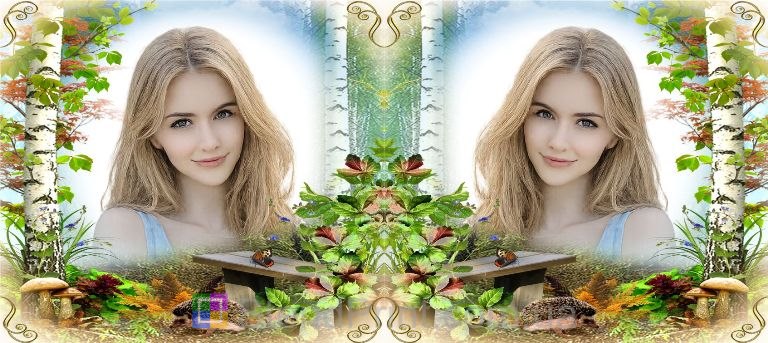 Чашка з фото осінь гриби та їжачок замовити