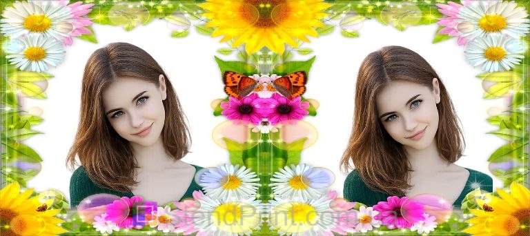 Кружка з фото ромашки та метелик