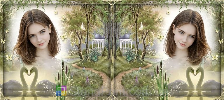 Чашка з фото та лебедями — романтичний подарунок коханій