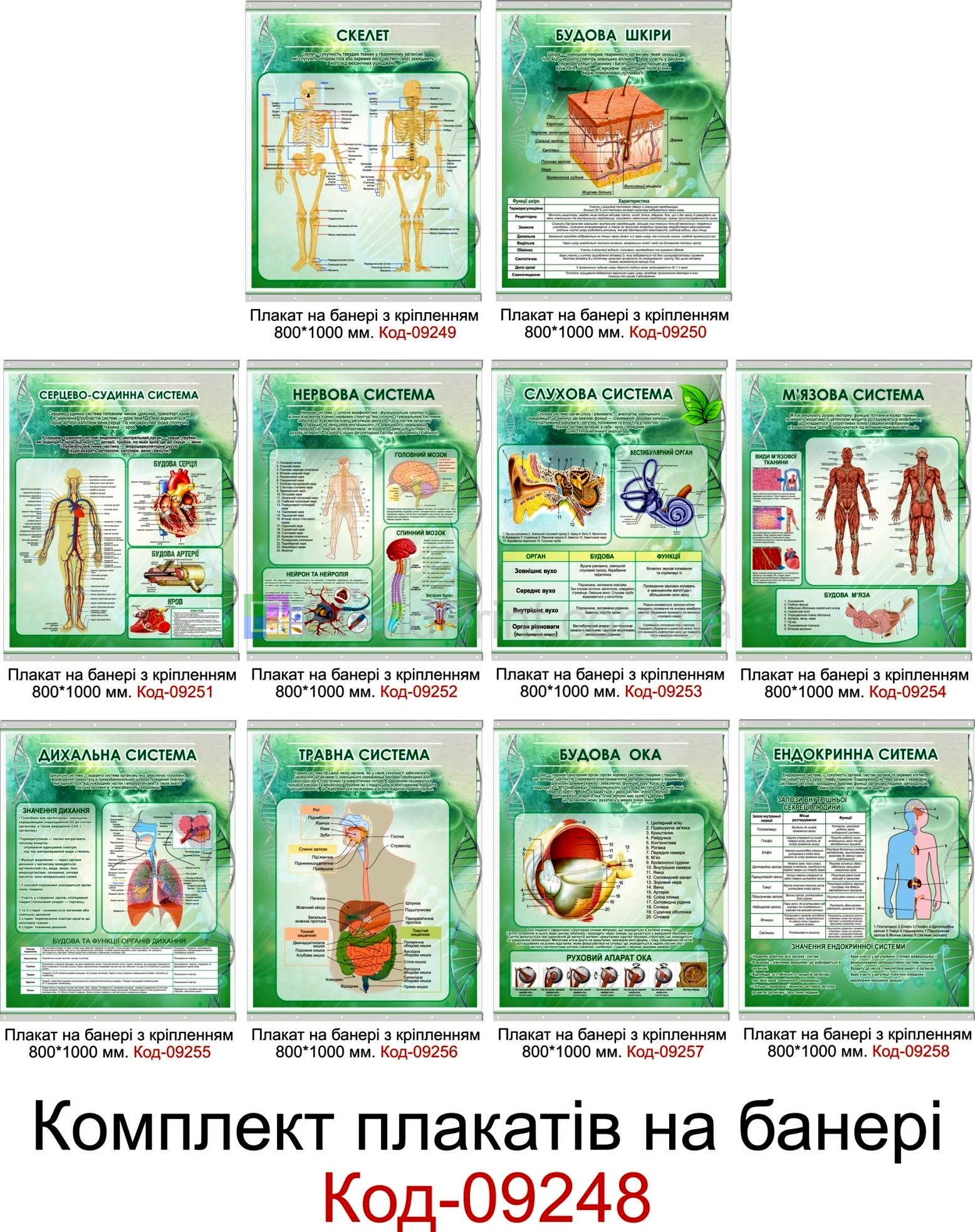 Плакати по інформатиці настінні для кабінету біології в школі