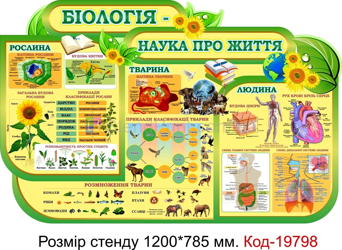 Стенди в кабінет біології