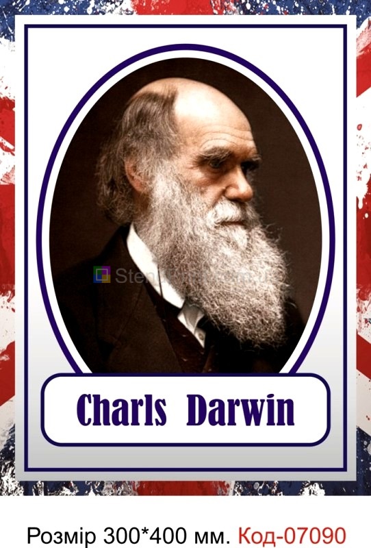Портрет Чарльз Дарвін в кабінет англійської мови