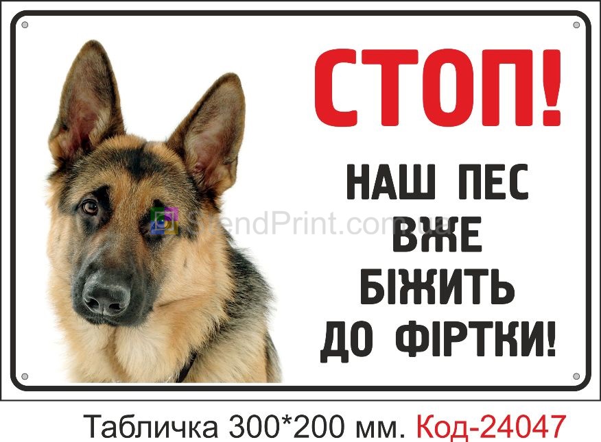 Табличка на ворота злая собака
