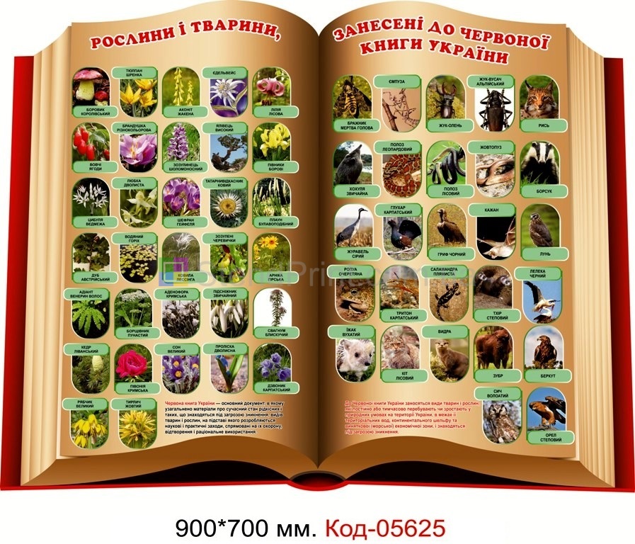 Купити плакати в кабінет біології