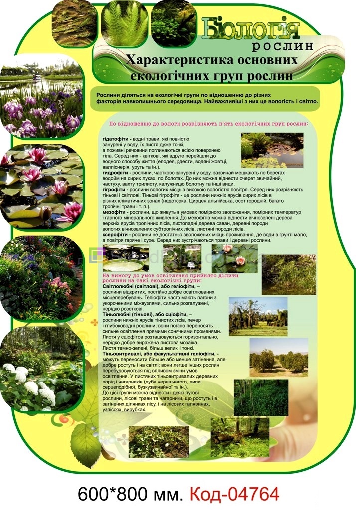 Плакаты по ботанике