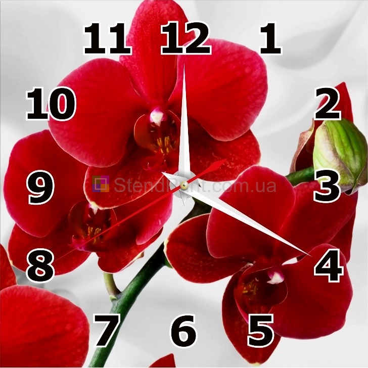 Годинник настінний з червоними орхідеями