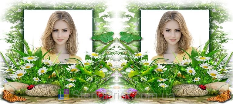 Чашка с фото зелёная трава ромашки природный пейзаж заказать