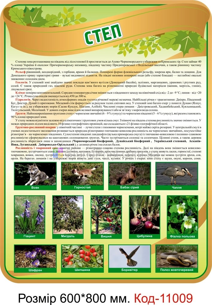 Комплект стендів Природні зони України Код-11005 в кабінет географії