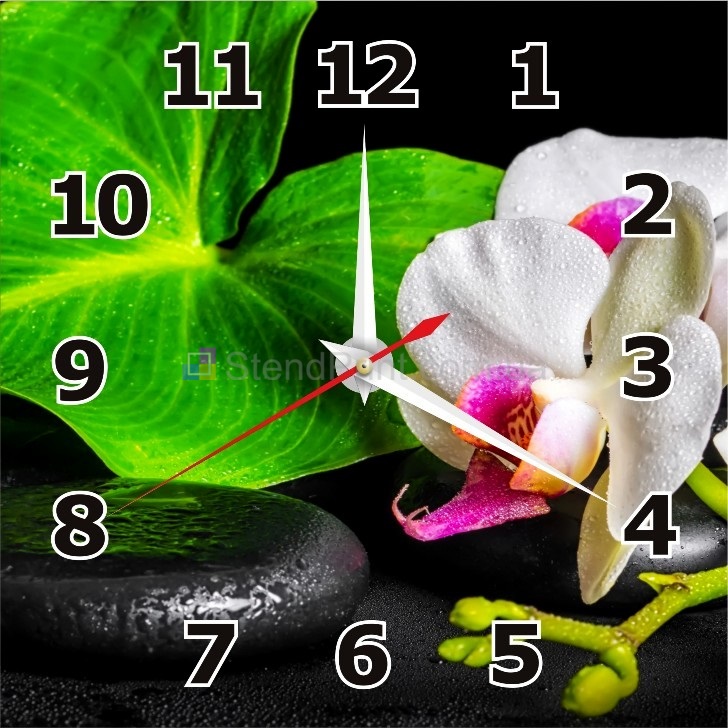 Годинник настінний з орхідеями