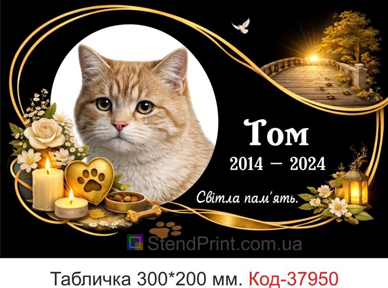 Ритуальна табличка для кота на могилу з золотим дизайном купити
