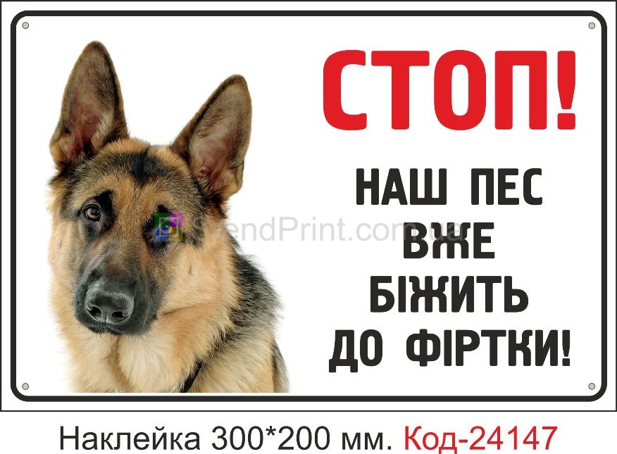 Самоклеюча наклейка "Стоп, наш пес вже біжить до фіртки" Код-24147