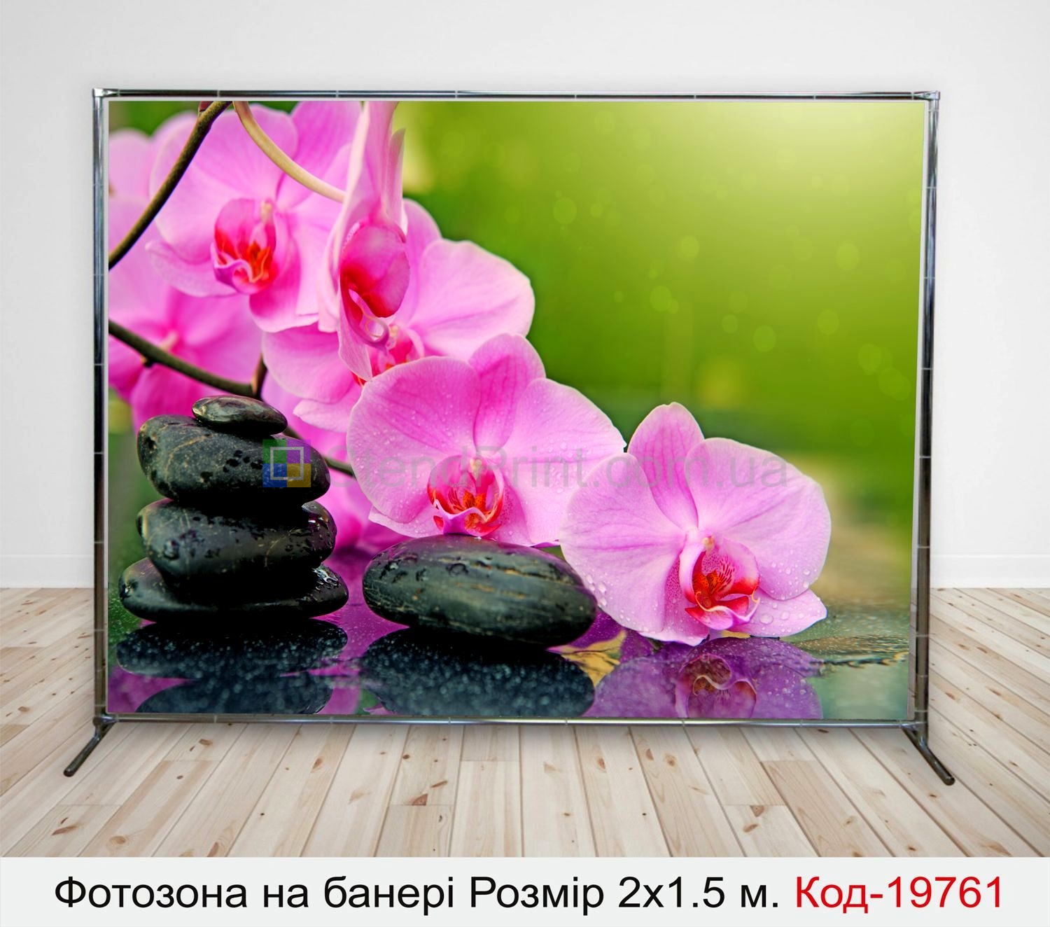 Фотозона Орхидеи на камне