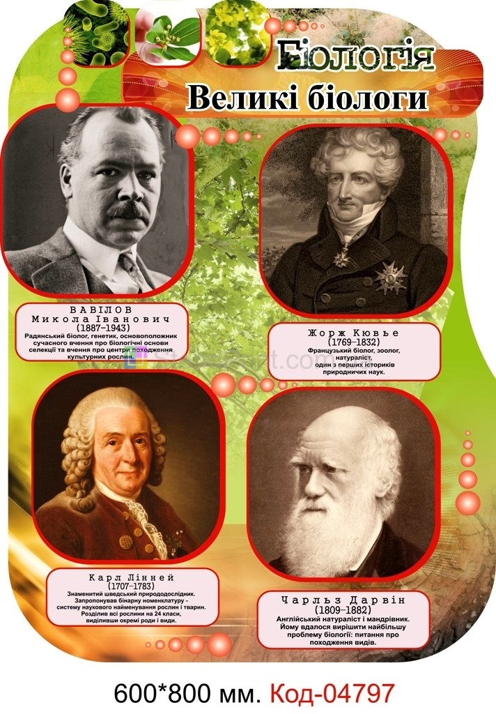 Плакаты по биологии
