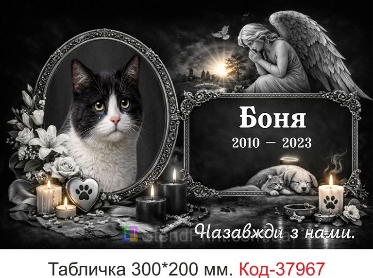 Купить ритуальную табличку для кота на могилу с фото и ангелом